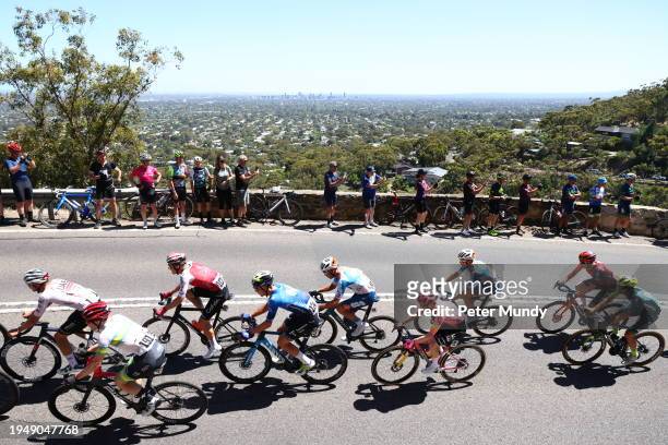 The peloton on the KOM climb to Windy Point Lookout during the 24th Santos Tour Down Under Schwalbe Men's Stage 6 from Unley to Mount Lofty on...
