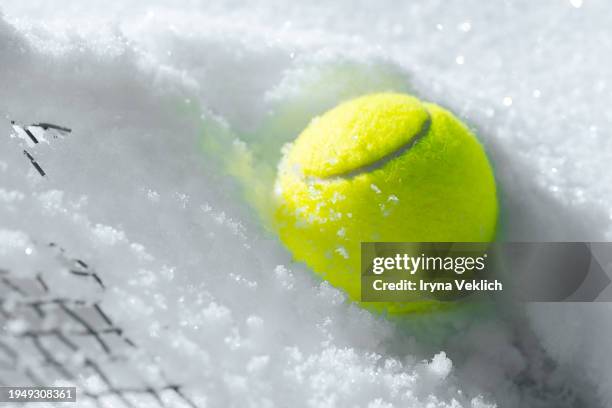Tennis Racket Snow 166,853 What Is The Structure Of Atp Stock Photos, High-Res Pictures ...