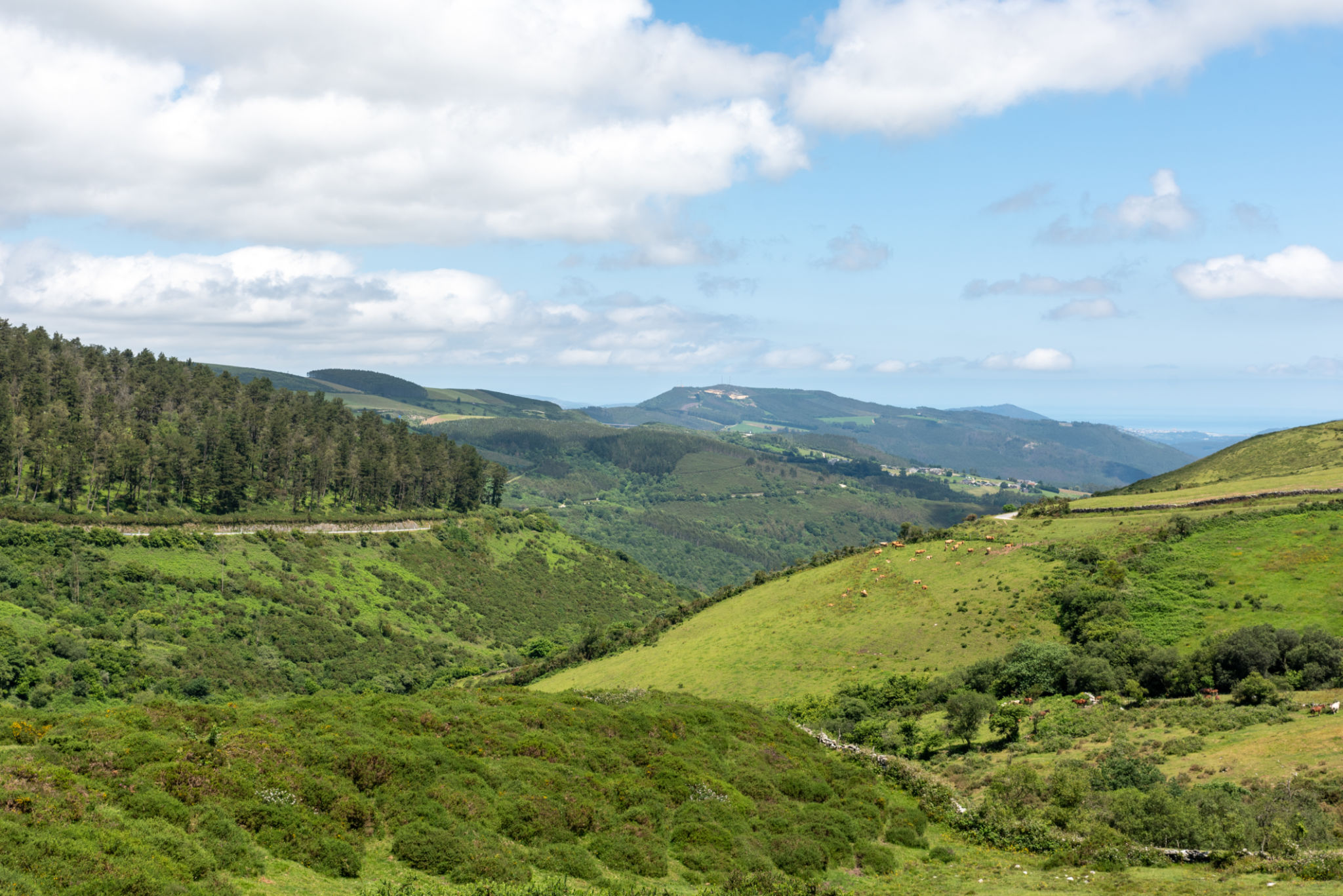 Galicia landscape