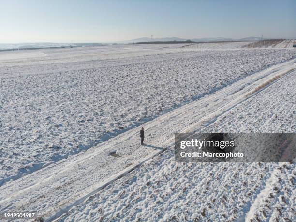 agricultural fields covered with snow - frozen stock pictures, royalty-free photos & images