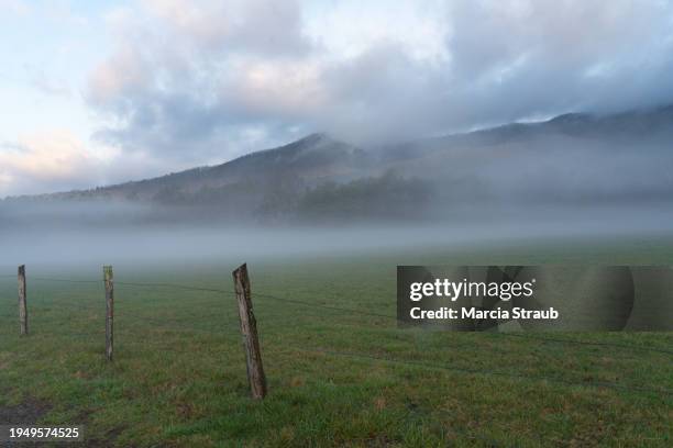 fog in cades cove valley - cades stock pictures, royalty-free photos & images