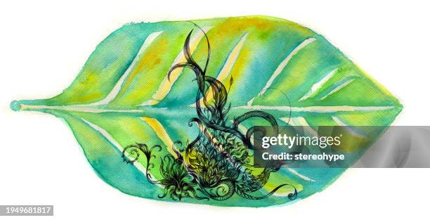 phoenix leaf - carbon cycle stock illustrations