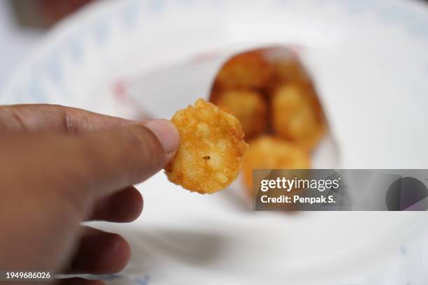 fried chicken - friture photos et images de collection