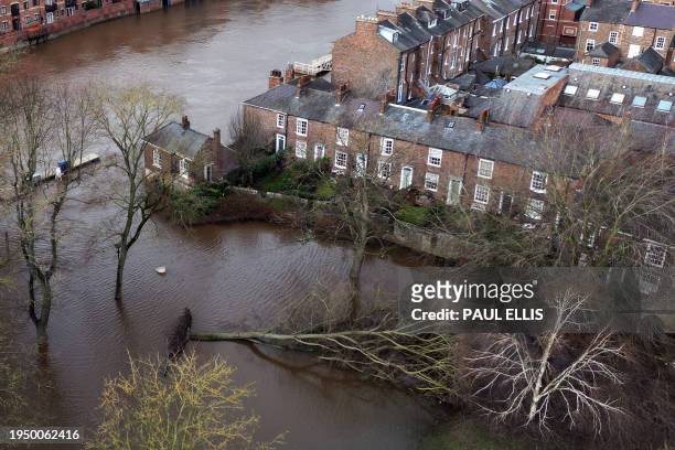 An aerial picture taken on January 24, 2024 shows a fallen tree laying down in water following the bursting of the banks of the River Ouse, in York,...