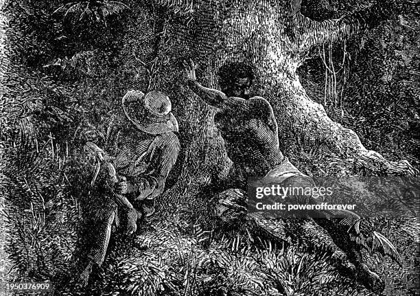 man being attacked by a vampire bat (desmodontinae) in south america - 19th century - vampire bat stock illustrations