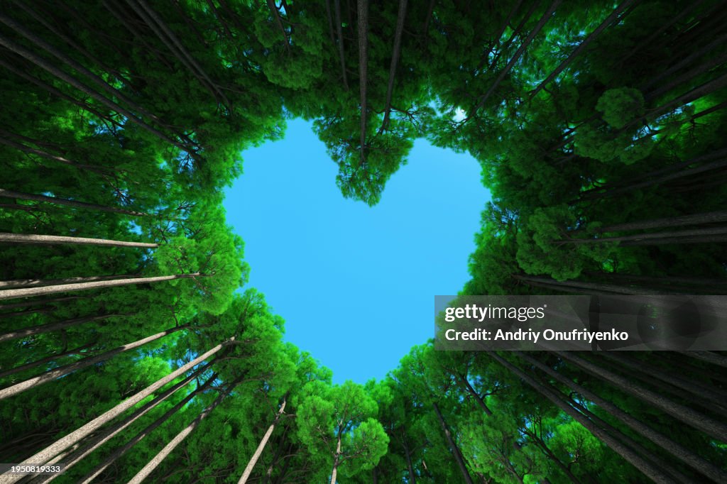 Nature heart