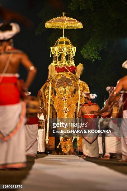 Decorated Sri Lankan elephant walks in the annual Perahera Festival at the historic Kelaniya Buddhist temple in Kelaniya on January 24, 2024.