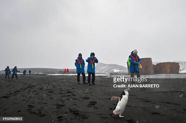 Tourists takes pictures of a chinstrap penguin as they visit Deception Island, in the western Antarctic Peninsula, on January 24, 2024. Could a...