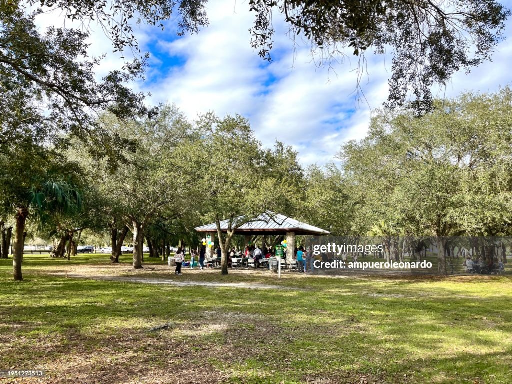 Latin big Family and Friends Celebrating a party in a park over a pergola in Miami, Florida, USA.