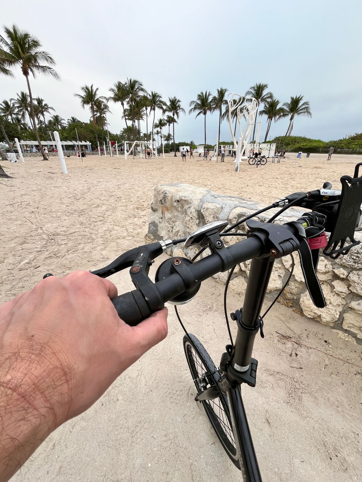miami beach gym