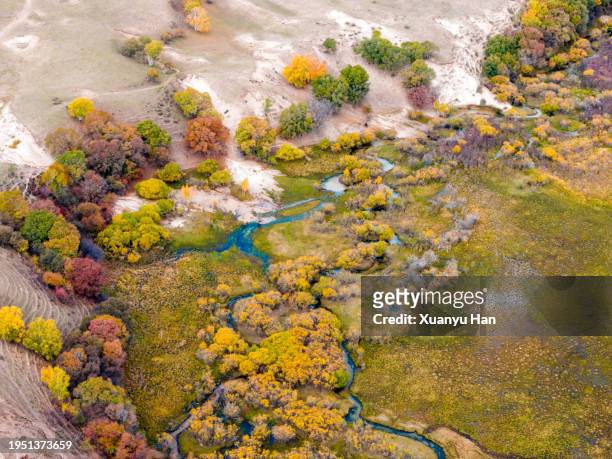 autumn forest natural landscape - aerial top view steppe stock pictures, royalty-free photos & images