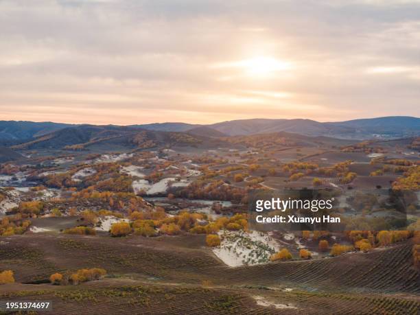 grassland sunrise - aerial top view steppe stock pictures, royalty-free photos & images