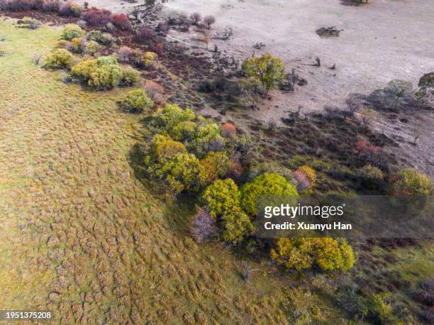 autumn grassland natural landscape - aerial top view steppe stock pictures, royalty-free photos & images