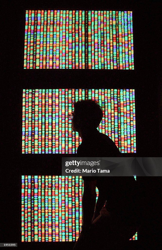 DNA Double Helix Turns Fifty