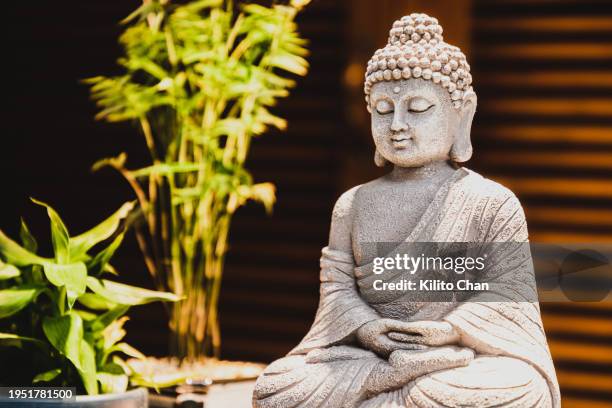 buddha statue - boeddha stockfoto's en -beelden