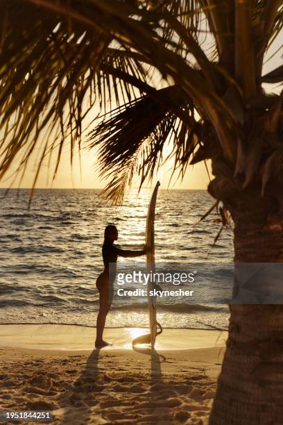 young female surfer on the beach at sunset. - meeru island stockfoto's en -beelden