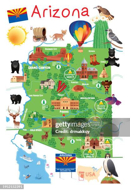 ilustrações, clipart, desenhos animados e ícones de arizona state map - goodyear arizona