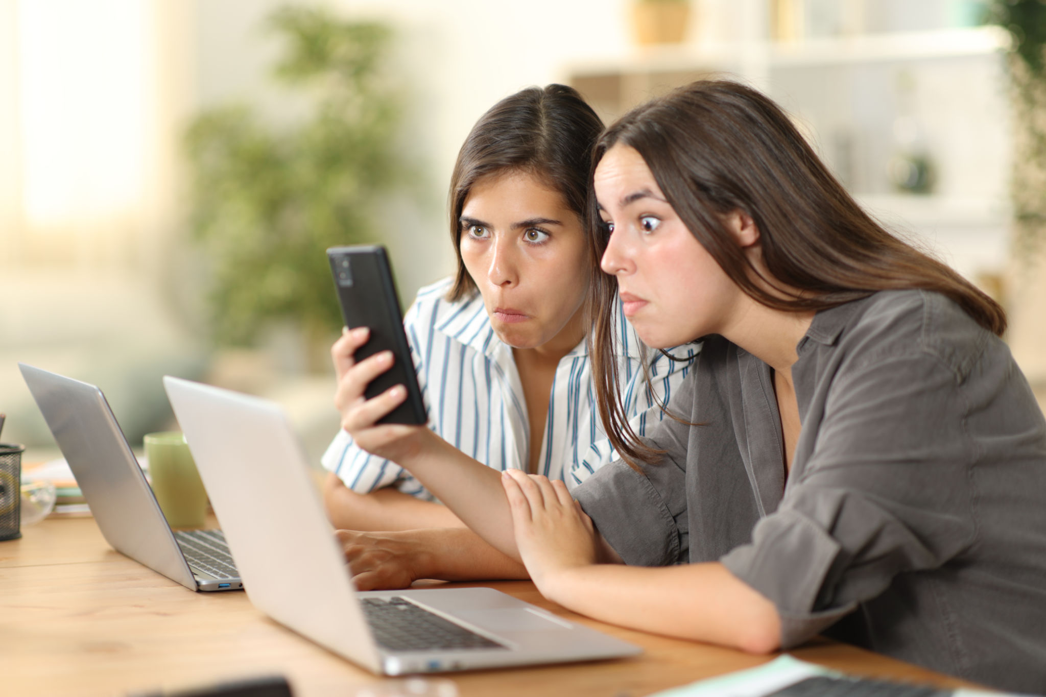 online rumors