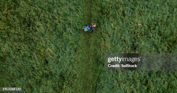 die welt ist unsere auster - standbild bildeffekt stock-fotos und bilder