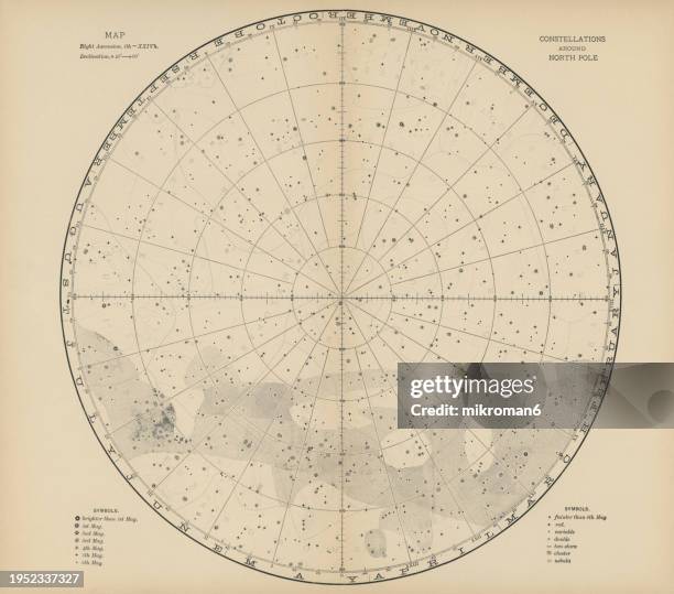 old engraved illustration of astronomy - constellations around north pole - arctic birds stock pictures, royalty-free photos & images