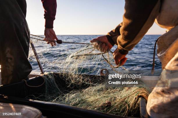 fisherman at work pulling fishing net on trawler - ambachtelijk eten en drinken stockfoto's en -beelden