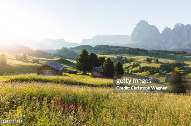 südtirol, seiser alm - langkofel sassolungo foto e immagini stock