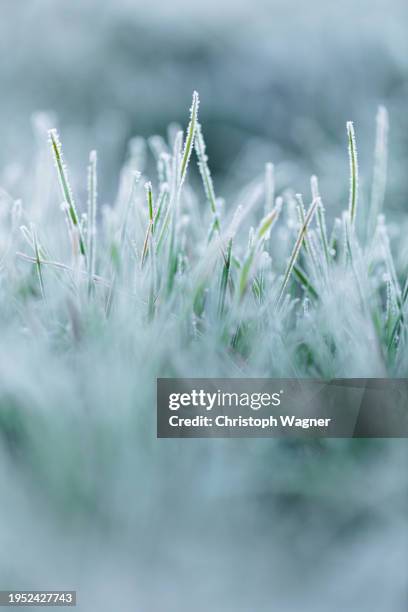 frost - keep out sign stock pictures, royalty-free photos & images