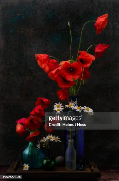 still life with poppies and daisies in glass vases - poppies in vase stock pictures, royalty-free photos & images