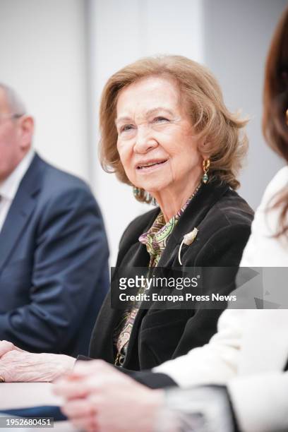 Queen Sofia during her visit to the headquarters of the Food Bank Association of Alava, in the Jundiz industrial estate in Vitoria-Gasteiz, on 22...