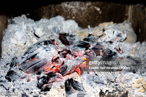 close-up of bonfire - ceniza fotografías e imágenes de stock