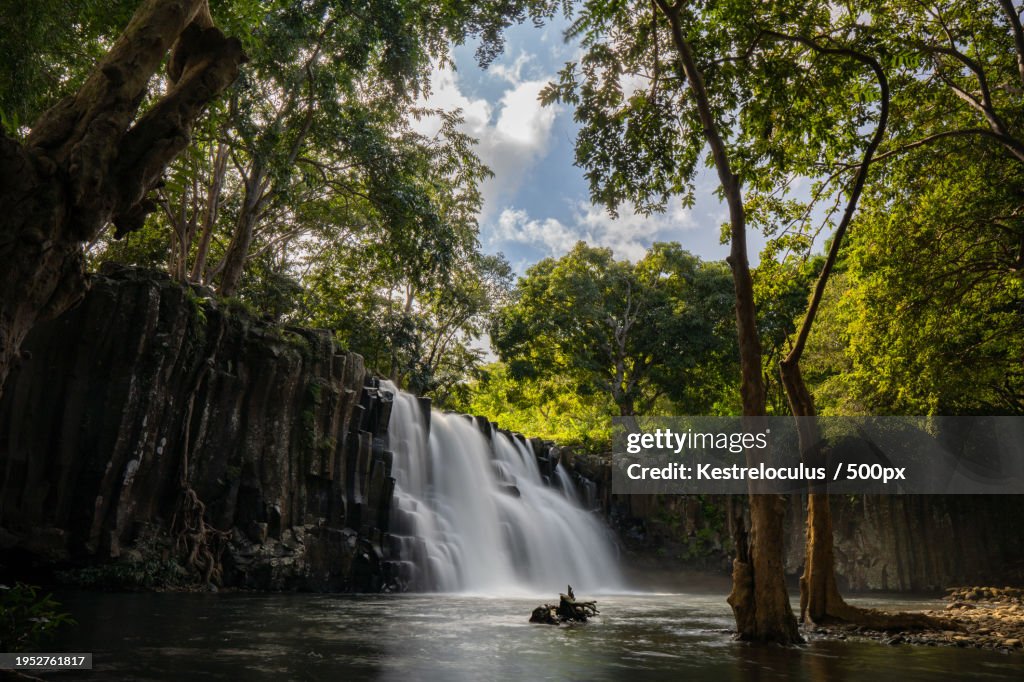 Scenic view of waterfall in forest,Savanne,Mauritius