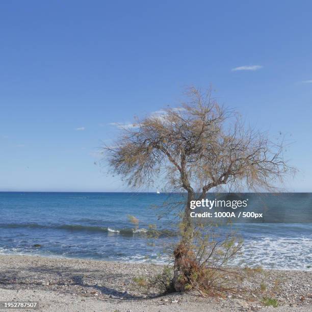 scenic view of sea against clear sky - 1000 2016 stock pictures, royalty-free photos & images