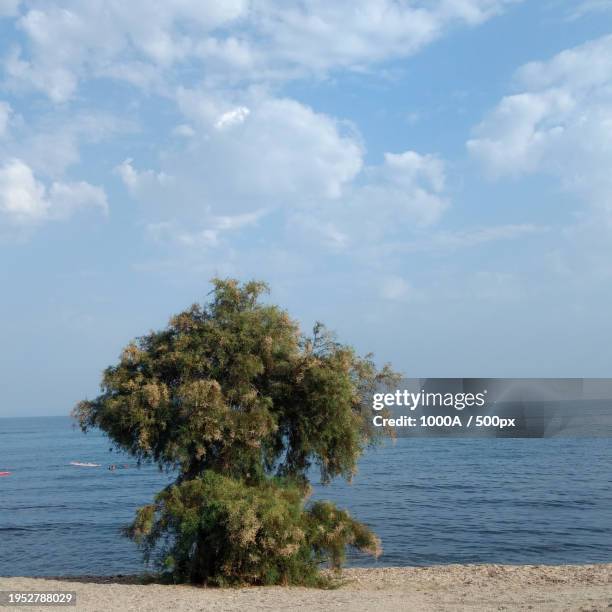 scenic view of sea against sky - 1000 2016 stock pictures, royalty-free photos & images