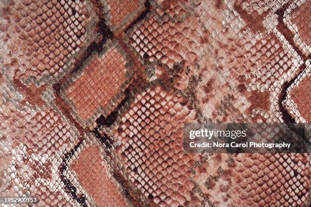 python snake leather - rough scale python fotografías e imágenes de stock