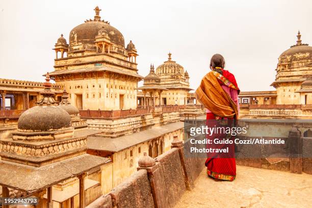 india, orchha, view of jehangir mahal palace - nature one festival 2013 stockfoto's en -beelden