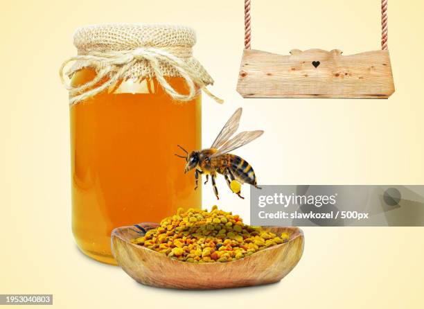 close-up of honey bee on honey bee against white background - bamboo dipper - fotografias e filmes do acervo
