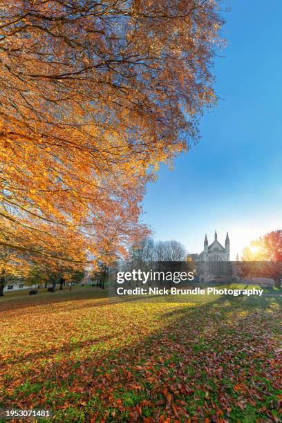 winchester cathedral, winchester, england. - winchester england stock-fotos und bilder