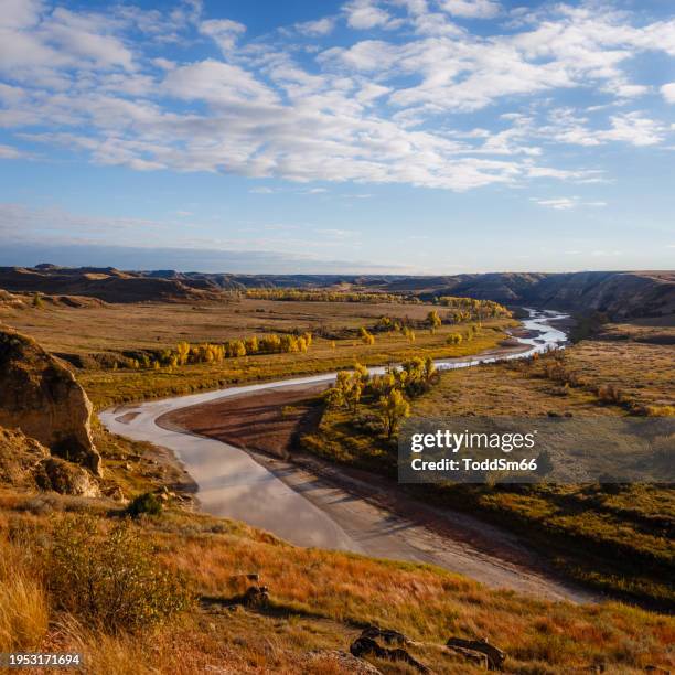 teddy roosevelt national park - nordamerikanische great plains stock-fotos und bilder