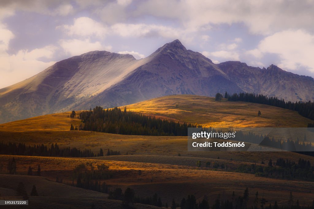 Electric Peak - Parque Nacional de Yellowstone