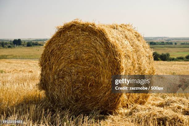 close-up of hay bale on field against sky - palha imagens e fotografias de stock