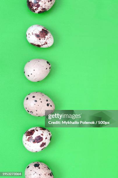 high angle view of macaroons on green background - pascoa 個照片及圖片檔