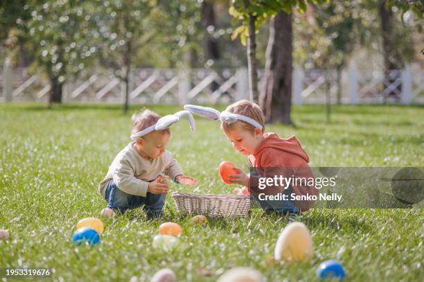 easter tradition of searching eggs in grass. children easter egg hunters with baskets and hare ears. - baby bunny stockfoto's en -beelden