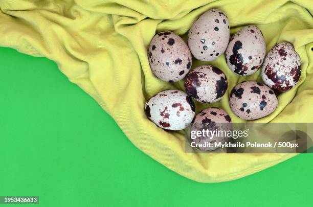 high angle view of eggs on green background - pascoa stockfoto's en -beelden