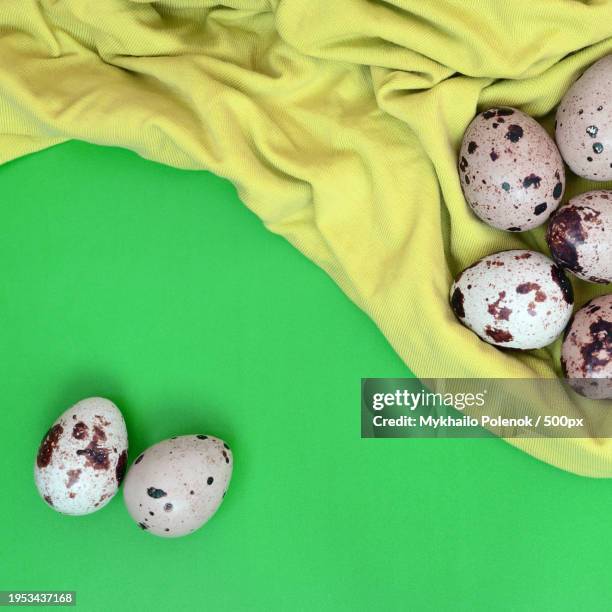 directly above shot of easter eggs with eggs on green background - pascoa stock-fotos und bilder