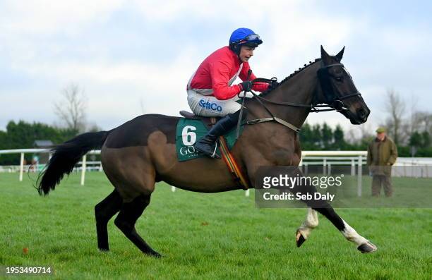 Kilkenny , Ireland - 25 January 2024; Ontheropes and jockey Sean O'Keeffe go to post before the Goffs Thyestes Handicap Steeplechase at Gowran Park...