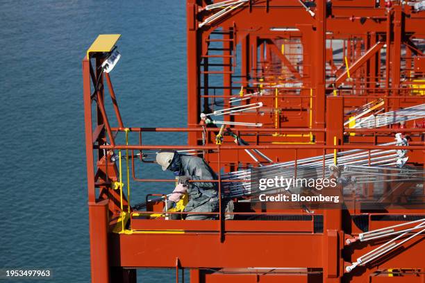 Container Cell Guide Photo Bilder und Fotos - Getty Images