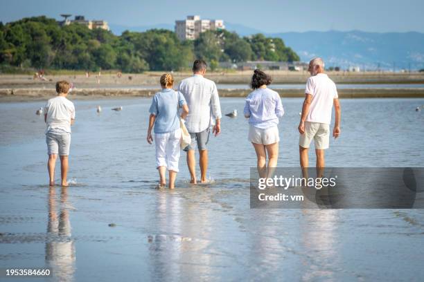 multi generation family walking in sea water - multi generation family from behind stock pictures, royalty-free photos & images