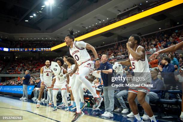 Members of the Auburn Tigers celebrate after a big play during their game against the Mississippi Rebels at Neville Arena on January 20, 2024 in...