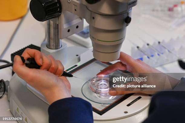 January 2024, Berlin: In the cell laboratory at the Fertility Center Berlin, an electron microscope is used to prepare the fertilization of an egg...