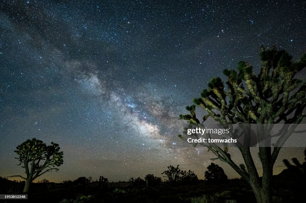 Desierto de Mojave, CA